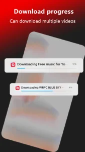 Download Tube Video Downloader for Unlimited YouTube Access3